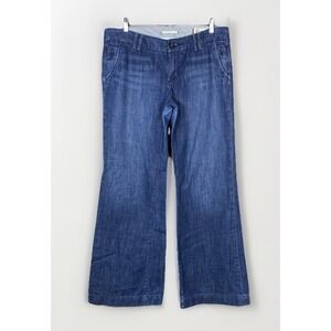 GAP Vintage Jeans Womens Limited Edition Flare Low Rise 30(10) Long and Lean Y2K